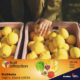 BioSikelia a Fruit Attraction 2026