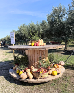 Agrifestival Naturasì 2026