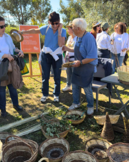 Agrifestival Naturasì 2026